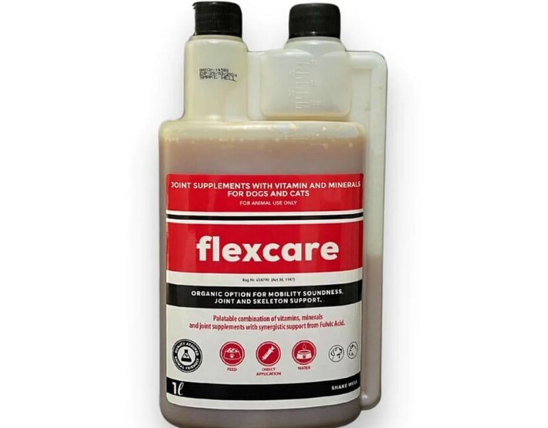 Premium Joint Supplements for Dogs in South Africa - A Comprehensive Guide