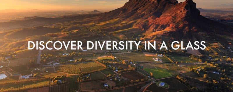 South Africa Wine Opens Membership Offering Producers A United Voice And Greater Industry Influence