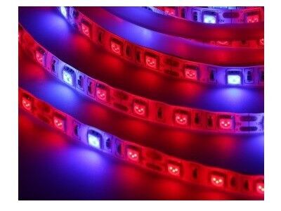 Illuminate Your Indoor Garden with Future Light's LED Grow Lights