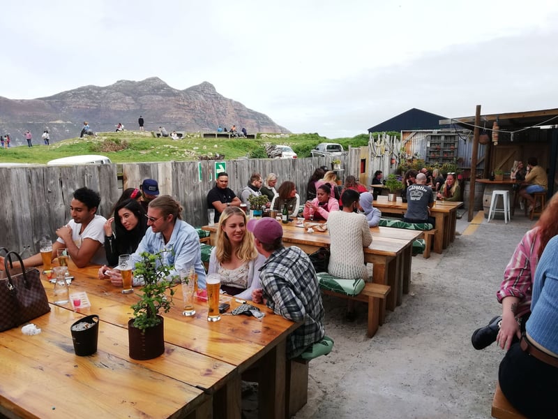 Experience the Magic of the Festive Season in the Bay