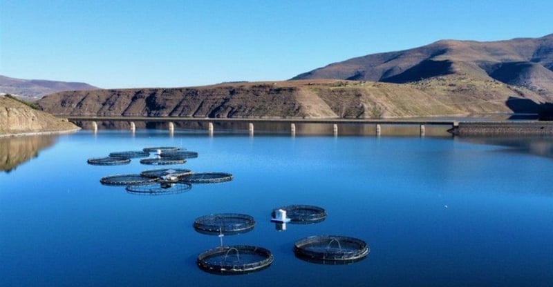 Lesotho Advances Renewable Energy Ambitions With Plans To Assess Floating Solar On Key Dams