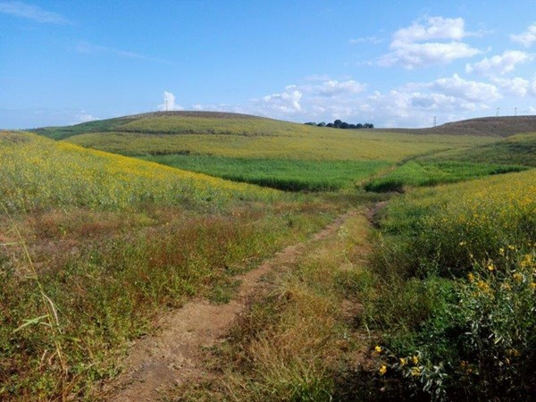 Exciting New Trail Runs Launched at Crocworld Conservation Centre in Scottburgh