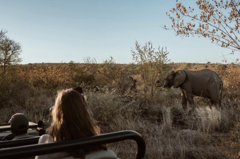 Bundox Launches 30% Off Black Friday Bush Getaway With Only 9 Days Left to Book