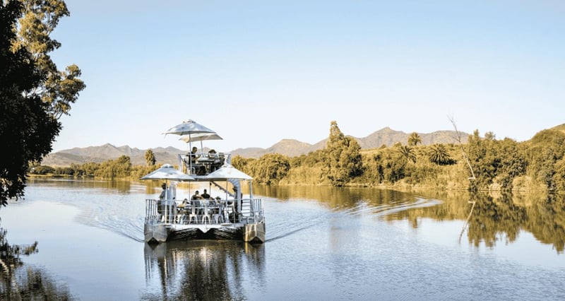 Viljoensdrift Wines Adapts To Global Decline While Preserving Generational Legacy And Quality