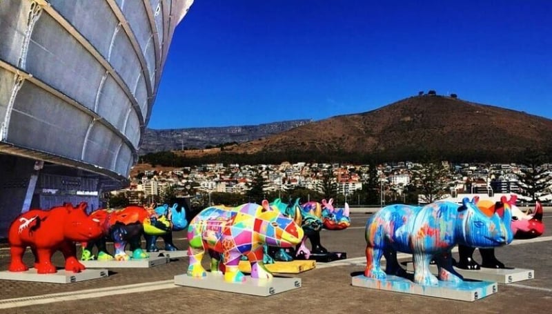 The Rhinos are Coming!!! Rhinos Paint The Town Red at V&A Waterfront and Cape Town International Airport!