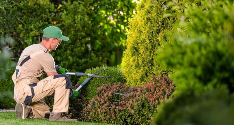Green Cube Maintenance & Landscaping Publishes Winter Garden Maintenance Guide for Pretoria Property Owners