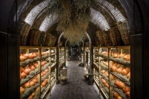 Restaurant Klein Jan at Tswalu Kalahari selected amongst 10 Extraordinary Fine-Dining Experiences Around The World (Travel + Leisure)