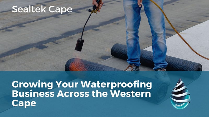 Sealtek Cape Publishes Guide on How Waterproofing Contractors Can Expand Across the Western Cape