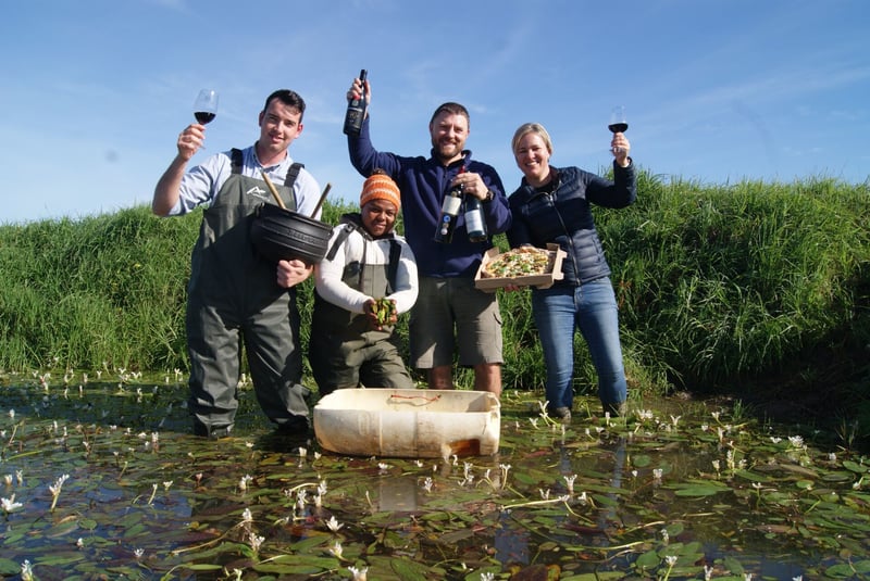 Waterblommetjie Festival Celebrates Heritage Food