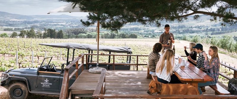 Stellenbosch Reimagined - Visit Stellenbosch Launches New Brand Positioning