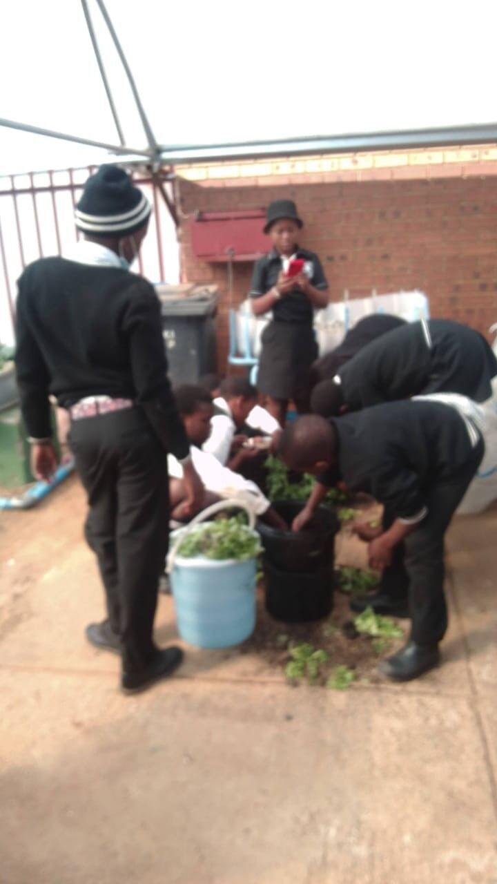 Lesedi Primary School Expands its Impactful Aquaponics Programme