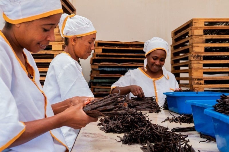 Malagasy Vanilla expands direct-to-consumer sales to 14 European markets via Temu Local Seller Programme