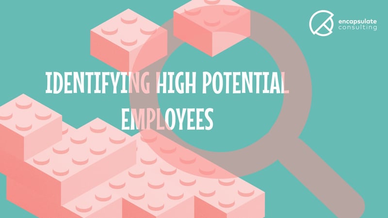 How do you identify High Potential Employees?
