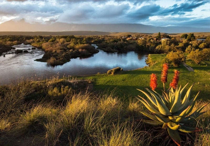 Bontebok National Park to Reopen in Phased Stages from 1 August, With Limited Accommodation and Trails Available