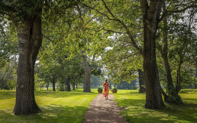 Celebrating the best shots from Vergelegen wine estate photo contest