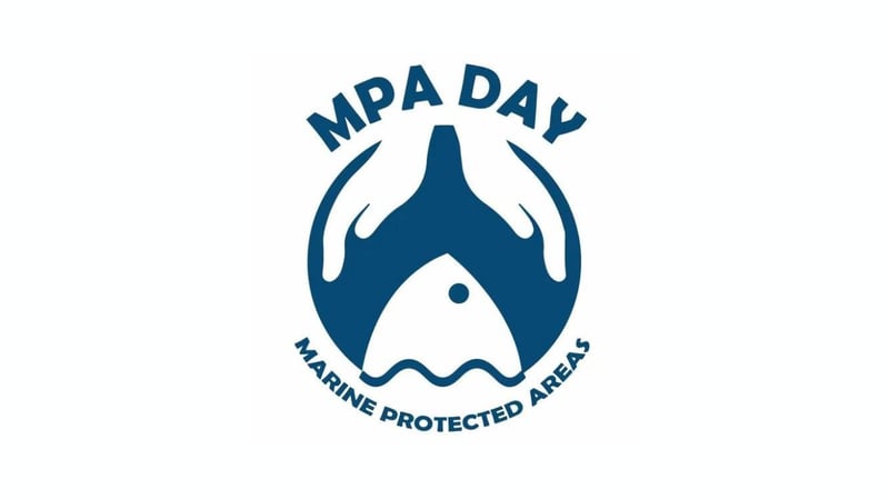 South African-Initiated MPA Day 2025 Celebrated Globally With 31 Countries Joining Ocean Protection