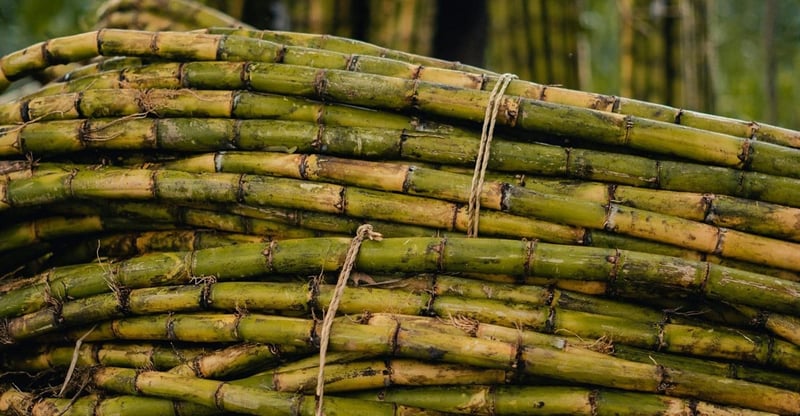 Tongaat Hulett Crisis Highlights Growing Threat Of Cheap Imported Sugar To Local Producers