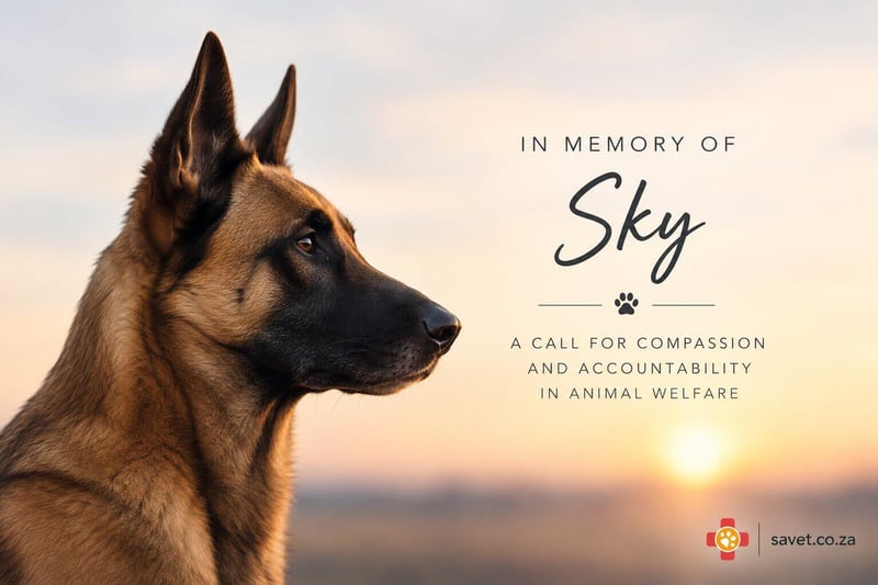 In Memory of Sky - A Call for Compassion and Accountability in Animal Welfare