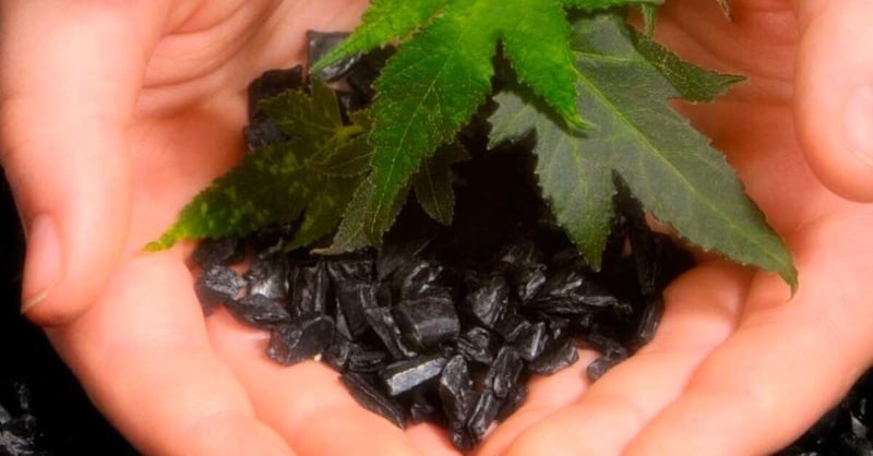 Understanding Carbon Offset - A Comprehensive Guide