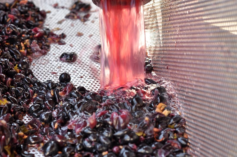 Wine Innovation Advances As LEVEL2 SALVA Demonstrates Effective Bioprotection Against Brettanomyces