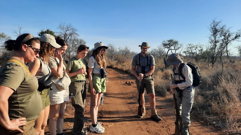 Stones Safaris Launches “Ultimate Bush Experience” — A Multi-Day Immersion in the Kruger Wilderness
