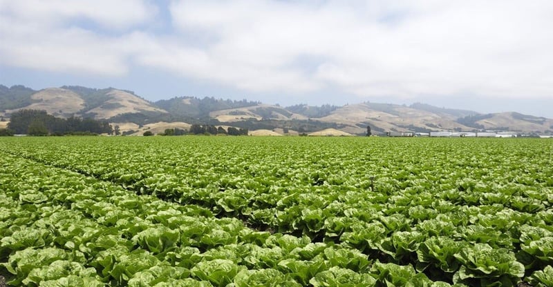 Western Cape Renews Mous TO Support New Farmers