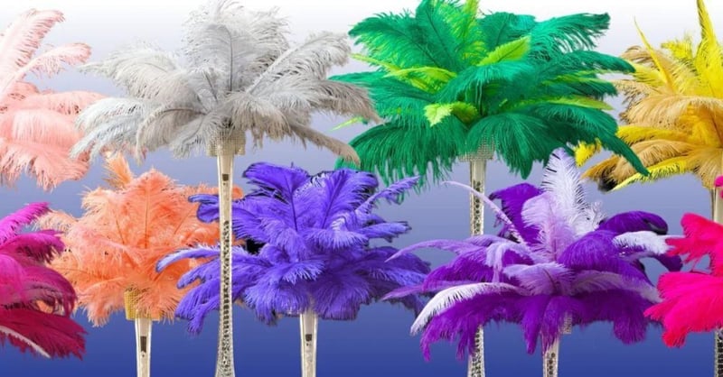 Ostrich Feathers and Centerpieces - Cultural Significance, History, and Use in Decor