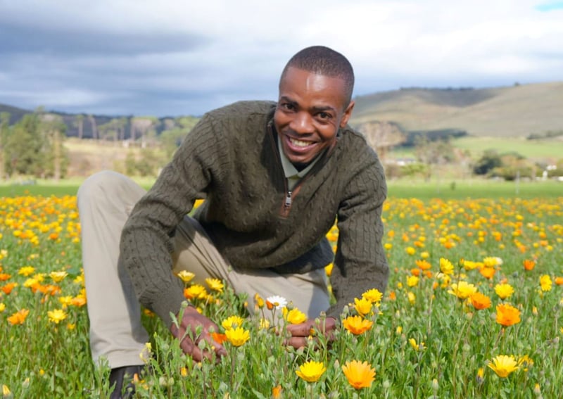 Beautiful blooms at Vergelegen