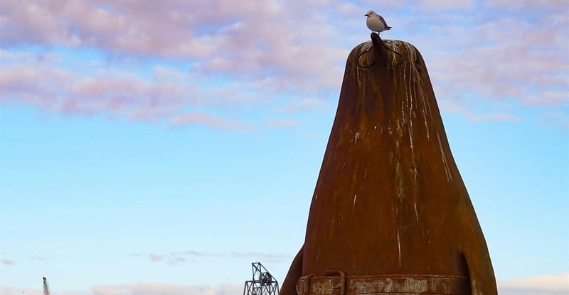 South Africa Enforces Tougher Offshore Ship Transfer Rules With Fines Increased To R2 Million