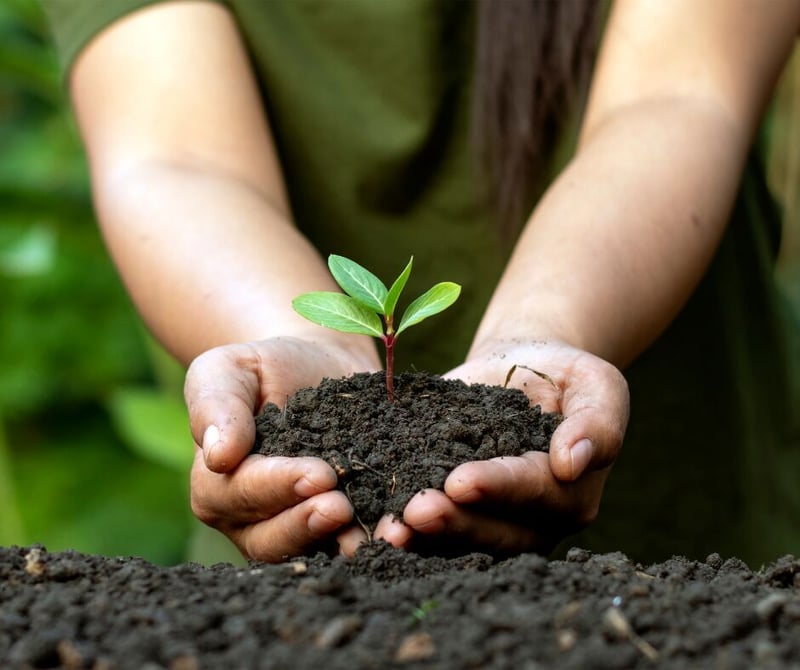 Eva-Last - Environmental to the core