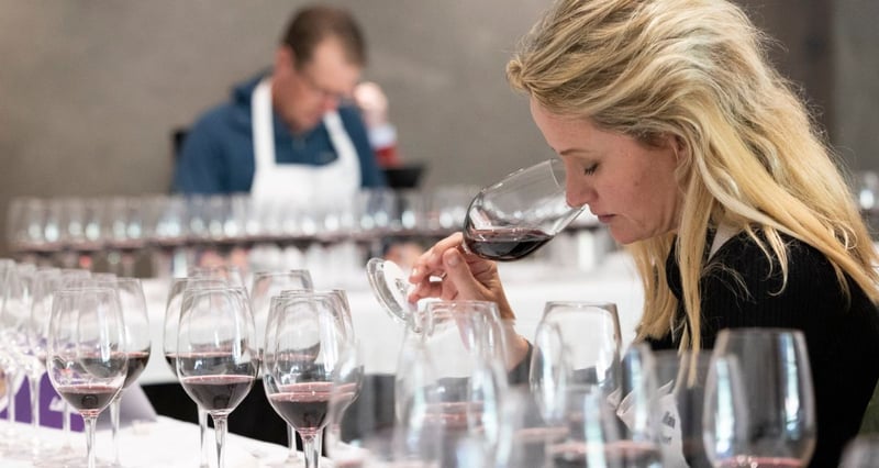 Silver Jubilee Investec Trophy Wine Show Launches With New Categories And Digital Entry Platform