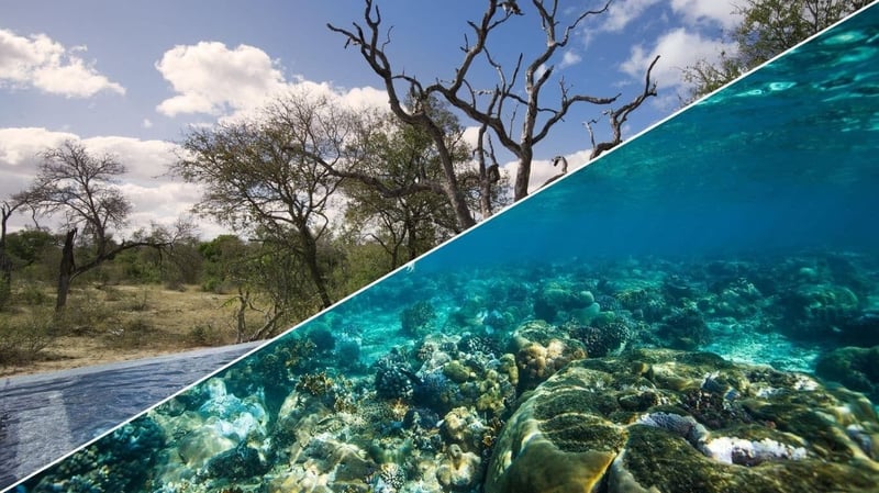 Voyage2Africa Unveils Why Family Safari & Beach Holidays Are the Perfect Getaway for 2025