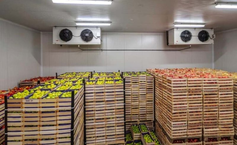 What Are Cold Storages Or Refrigerated Warehouses?