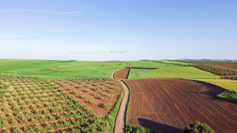 Agbiz/IDC Agribusiness Confidence Index rises to 53 in Q3 2026 amid export gains and El Niño concerns