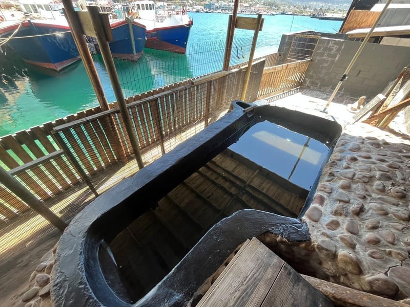 Waterscapes Gives Hout Bay Seal Rescue Centre Pool a Waterproofing Glow-Up