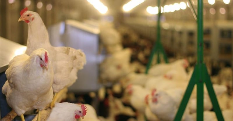 Ministry Of Agriculture Approves New Measures After SAPA Section 23 Objection