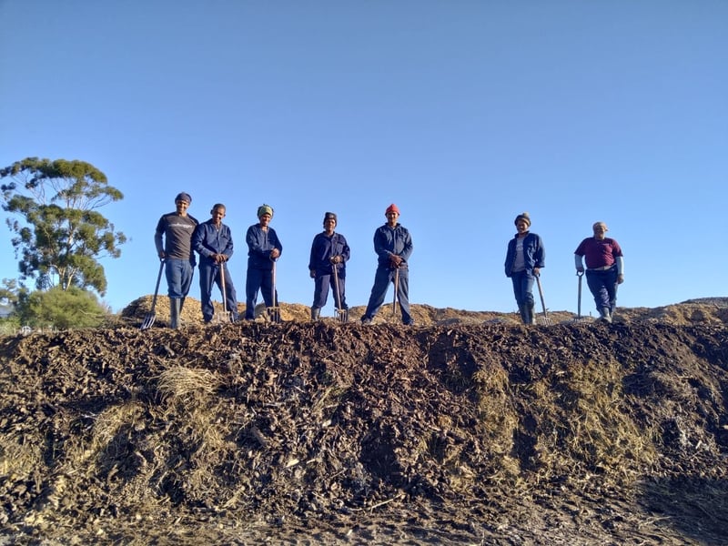 Organic And Biodynamic Practices Take Centre Stage As Wine Industry Adapts To Rising Climate Pressures