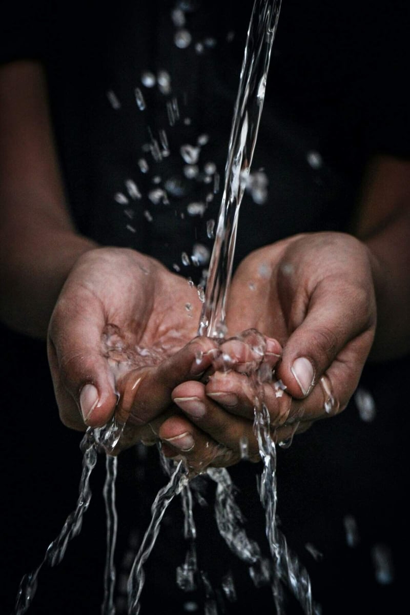 Water Stewardship event emphasizes good governance and sustainable investments for green recovery