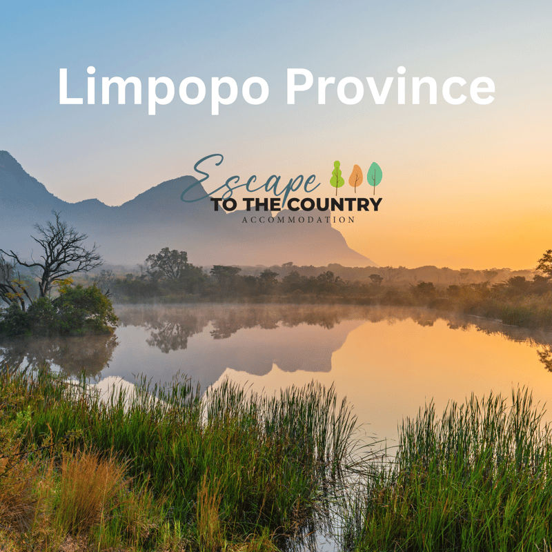 Limpopo Continues to Attract Travellers Looking for Wildlife, Nature, and Bush Escapes