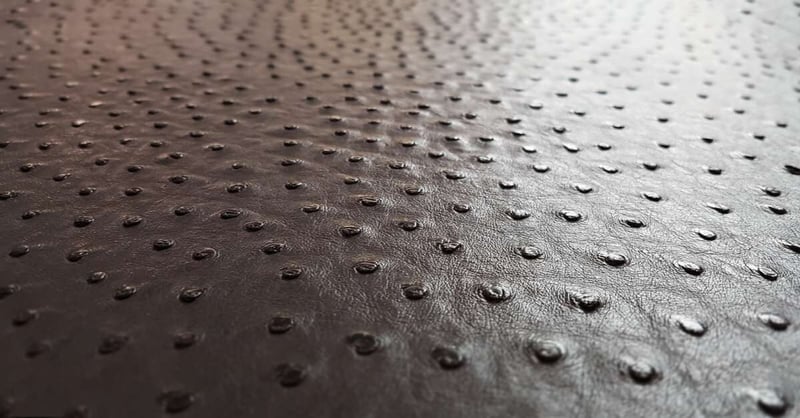 Why is Ostrich Leather So Expensive?