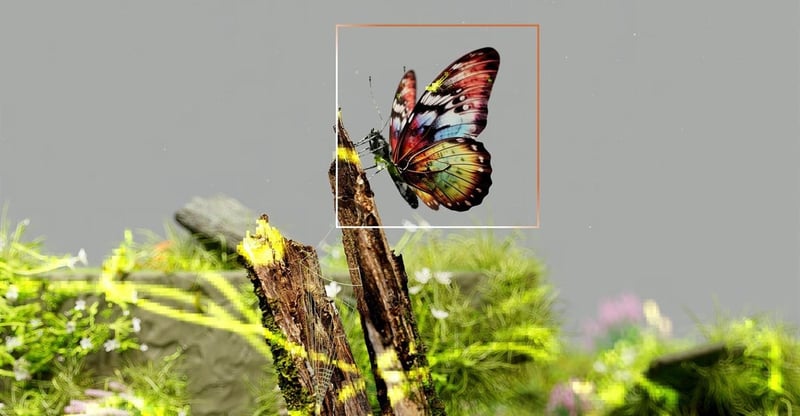 AI Developed for Industrial Safety Now Empowers Rangers With Real-Time Conservation Capabilities