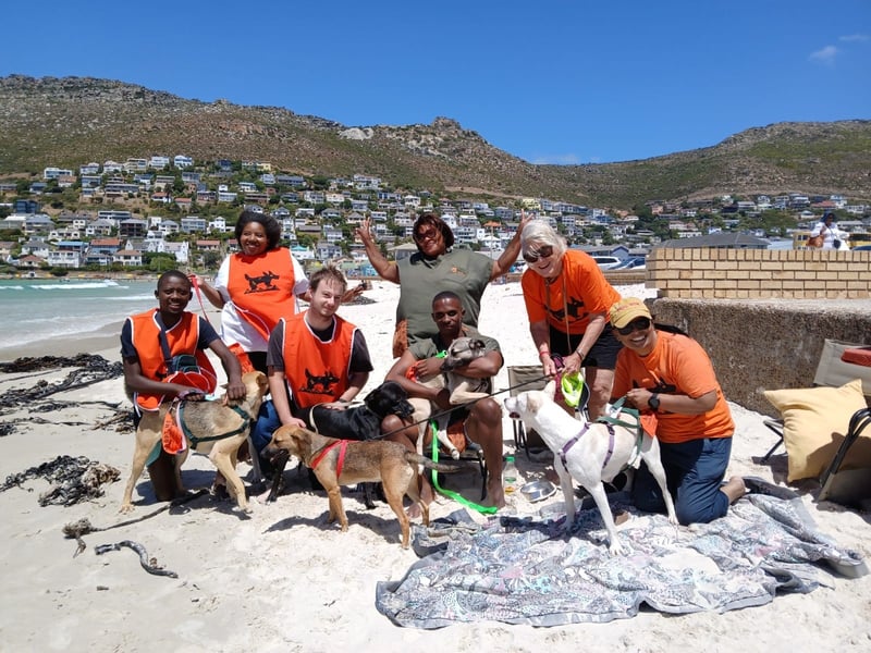 Wags and Waves – Beach Days for Homeless Dogs