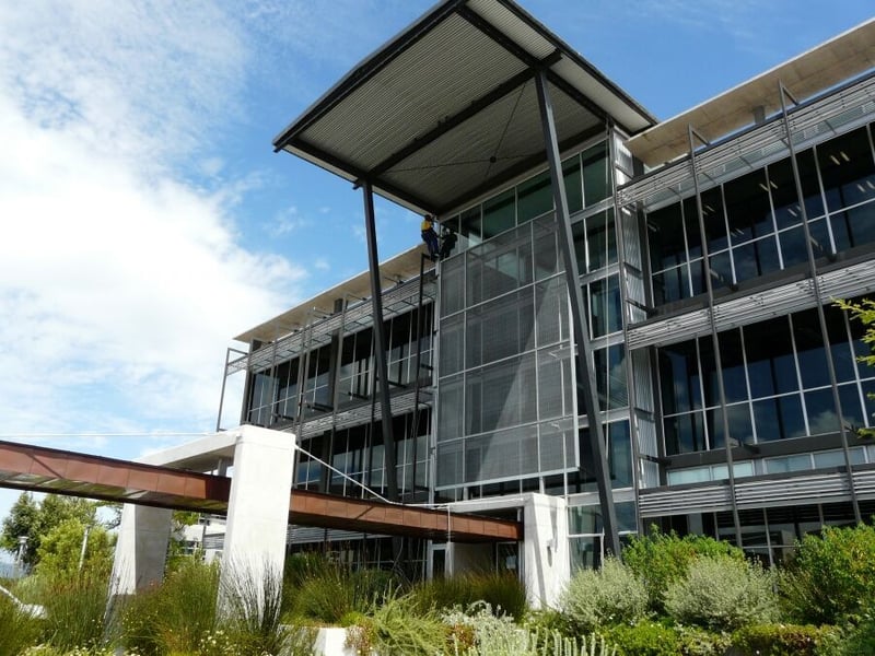 New Name And Logo For Bird Control Services