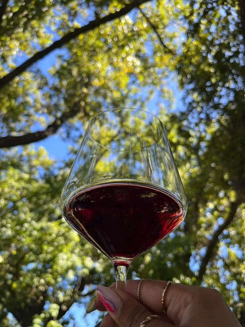 Modular by Design - How Afro Wine Week is Opening the Doors to Global Opportunity