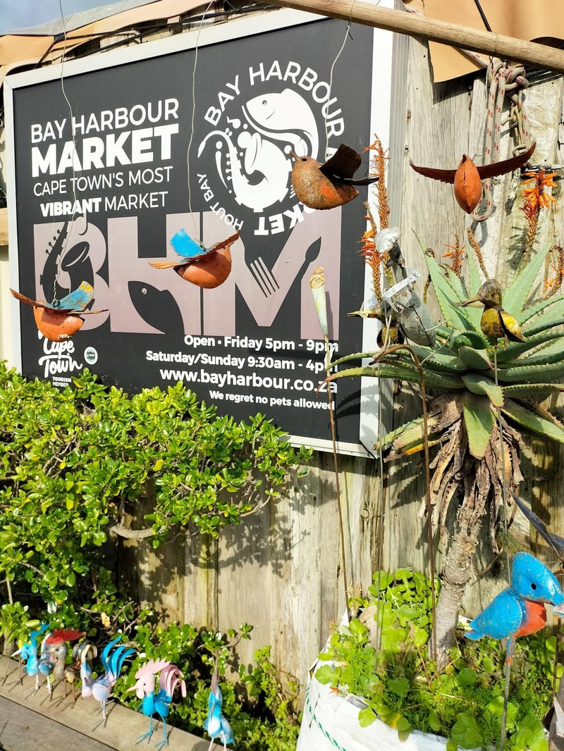 June - National Environment Month – Hout Bay Leads the Way in Environmental Awareness and Action