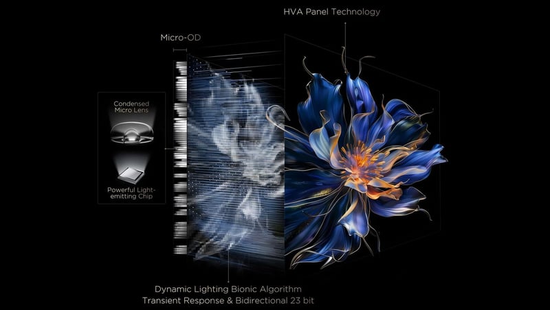 TCL Drives Innovation in the Evolving TV Landscape with Groundbreaking All-Domain Halo Control Technology in South Africa