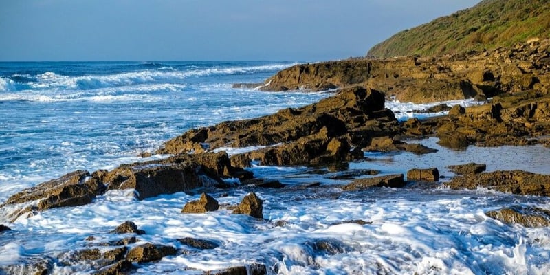 Ezemvelo Launches Beach2Bush – A Conservation Journey from Coast to Savannah