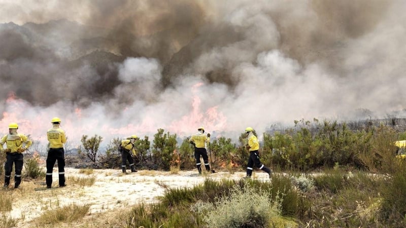 Western Cape Biodiversity Faces Severe Threat as El Niño Escalates Wildfire Risk in 2025/26