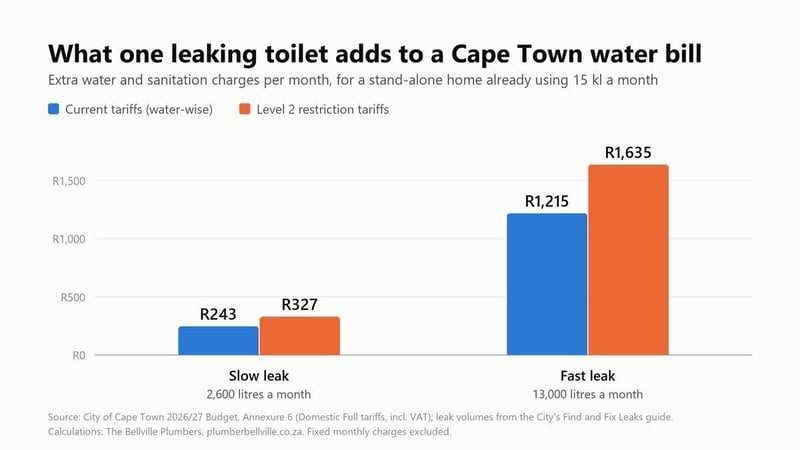 One leaking toilet can add up to R1,215 a month to a Cape Town water bill as restrictions loom