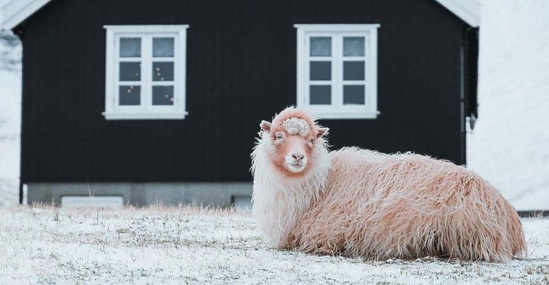 How Photography Tours Help Travellers Reset Mentally While Discovering New Creative Perspectives